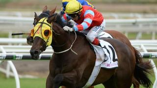 Karaka Graduate Cylinder Beach (NZ) Wins Recognition Stakes. Photo: Trackside Photography. 